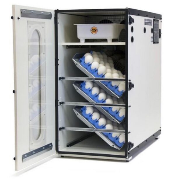 Cabinet Incubator